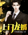 上门龙婿