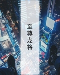 至尊龙将