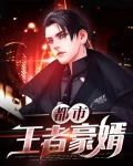 都市王者豪婿