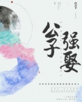 公子强娶