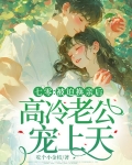 七零:被迫换亲后,高冷老公宠上天