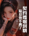 契约婚宠陆少别惹我全文免费阅读