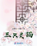 三只灵猫