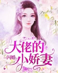 大佬的闪婚小娇妻
