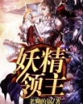 妖精领主