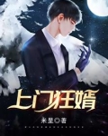 上门狂婿