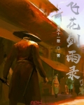 飞花剑雨录
