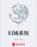 幻域系统