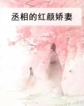 丞相的红颜娇妻
