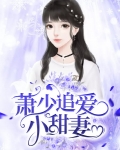 萧少追爱小甜妻