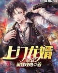 上门龙婿