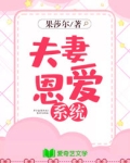夫妻恩爱系统