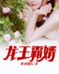 龙王霸婿