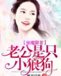 驱魔甜妻:老公是只小狼狗