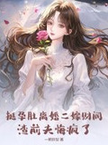 挺孕肚离婚二嫁财阀，渣前夫悔疯了